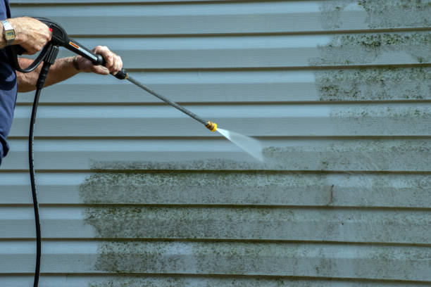 Best Roof Pressure Washing  in Succasunna, NJ